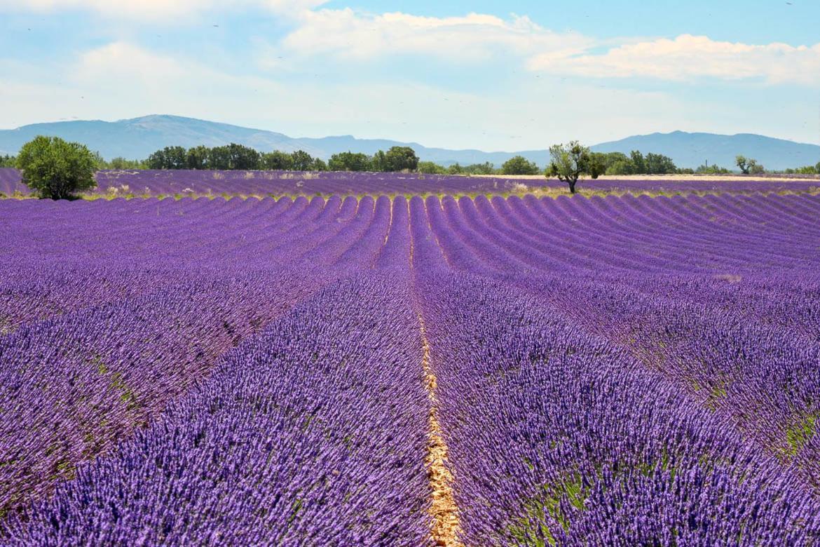 Gîte ou chambre d'hôte dans la campagne de Rognes Extérieur photo