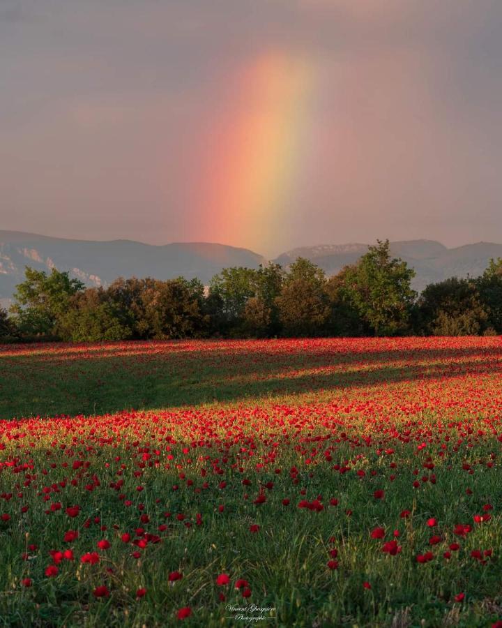 Gîte ou chambre d'hôte dans la campagne de Rognes Extérieur photo